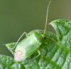 305404 – Photo : Jean-Michel GAREL – France (89)